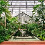 Garfield Park Conservatory