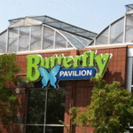 Butterfly Pavilion