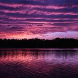 Prestwood Lake