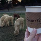 Rosie Mae’s Alpaca Farm and Boutique