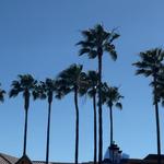 Fashion Island