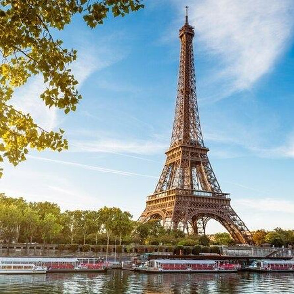 Top Floor of Eiffel Tower + Glass of Champagne - Honeymoon Excursion