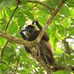 Pacoche Lodge & Reserve