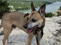 Mount Bonnell