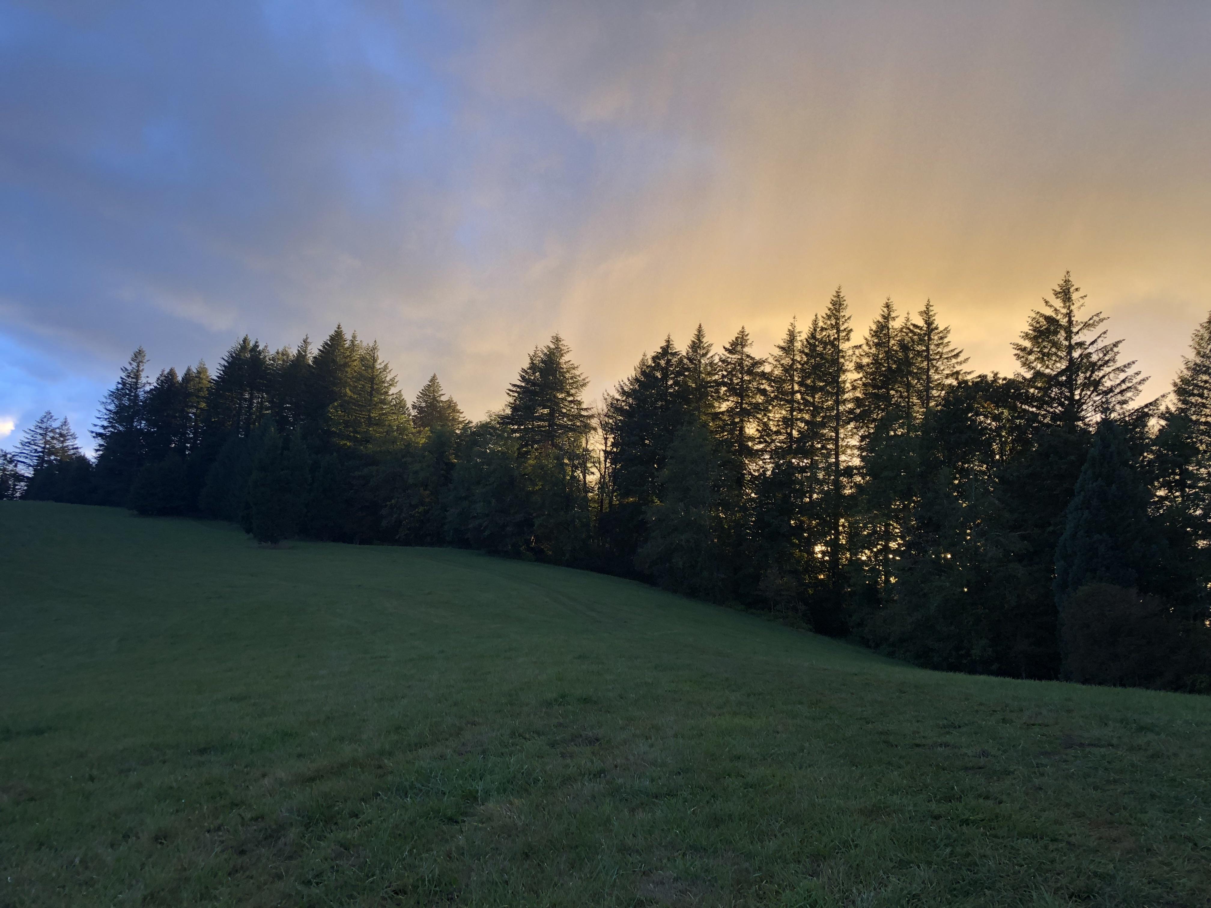 The Wedding Website of Irisa McCausland and Agra Diapari