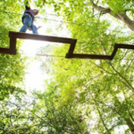 Go Ape Zipline & Adventure Park