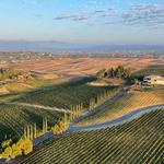 Temecula Wine Country