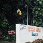 Rescate Wildlife Rescue Center