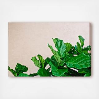 Cassandra Eldridge - Green Leaf Canvas Art