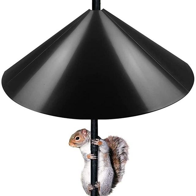 Queension Squirrel Proof Baffle, 19-inch Wide Squirrel Guard Stopper for Outdoor Bird Feeder Poles or Outside Shepherd Hooks, Save Bird Houses from Squirrels, Raccoons, and Rodents, Black, 1 Pack