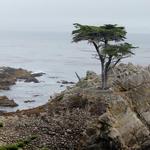 17 Mile Drive