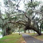 Lake Hollingsworth