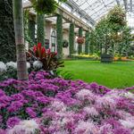 Longwood Gardens