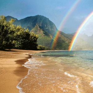 Flights to Hawaii