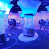 North Carolina Aquarium on Roanoke Island
