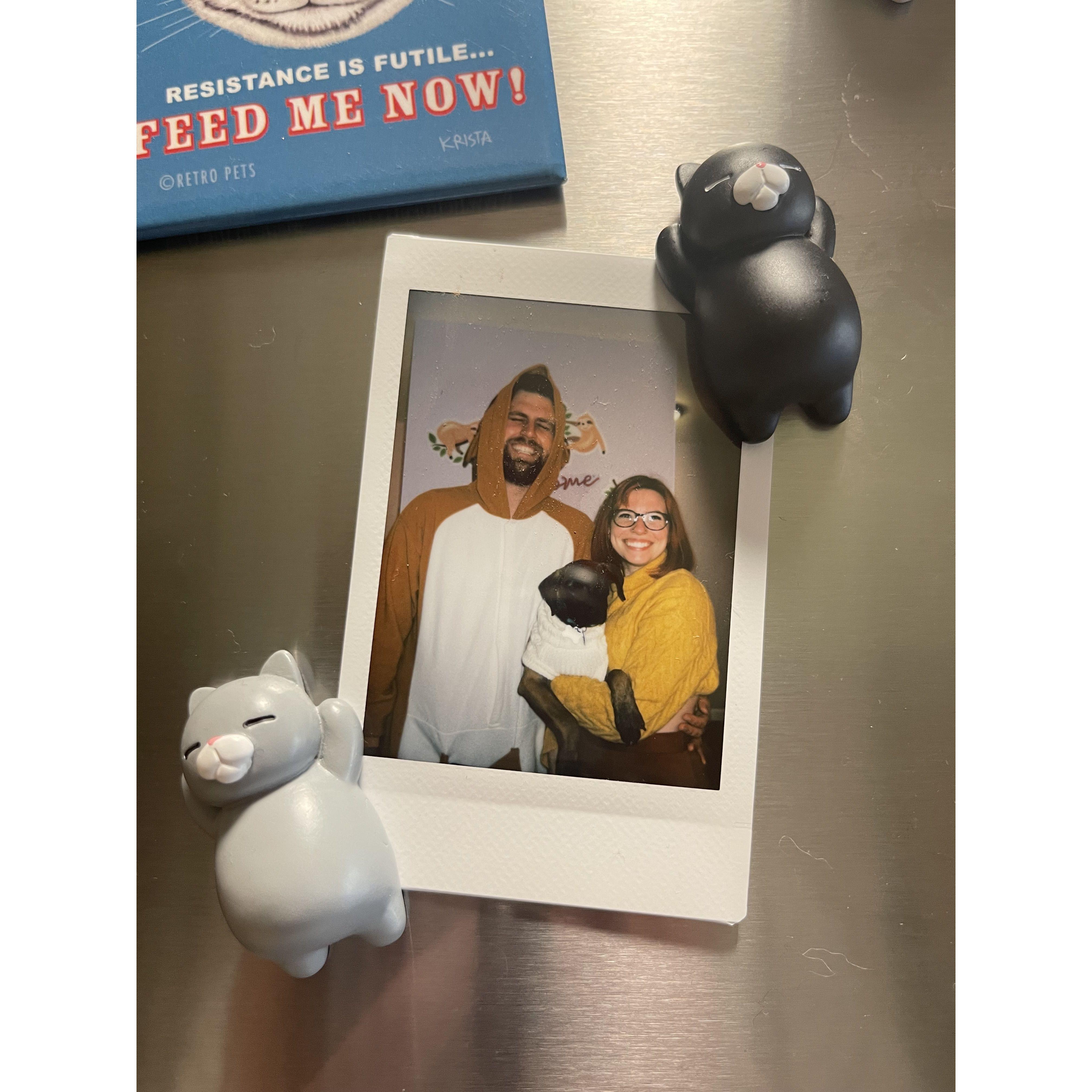 The scooby to my velma