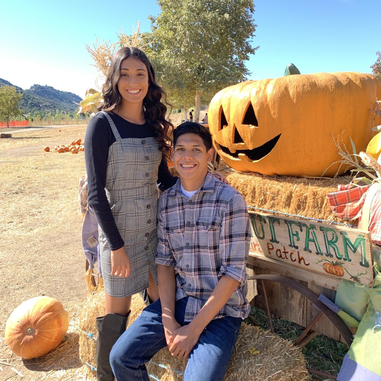 Bates Nut Farm 2019