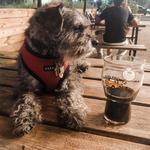 Good People Brewing Company