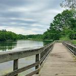 Beartown Lakes Reservation