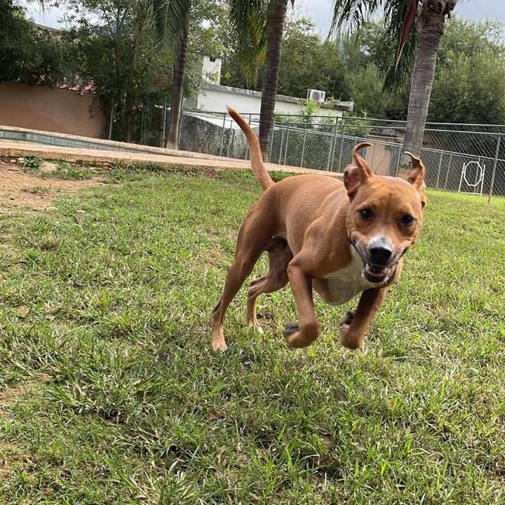 Ricky jumps