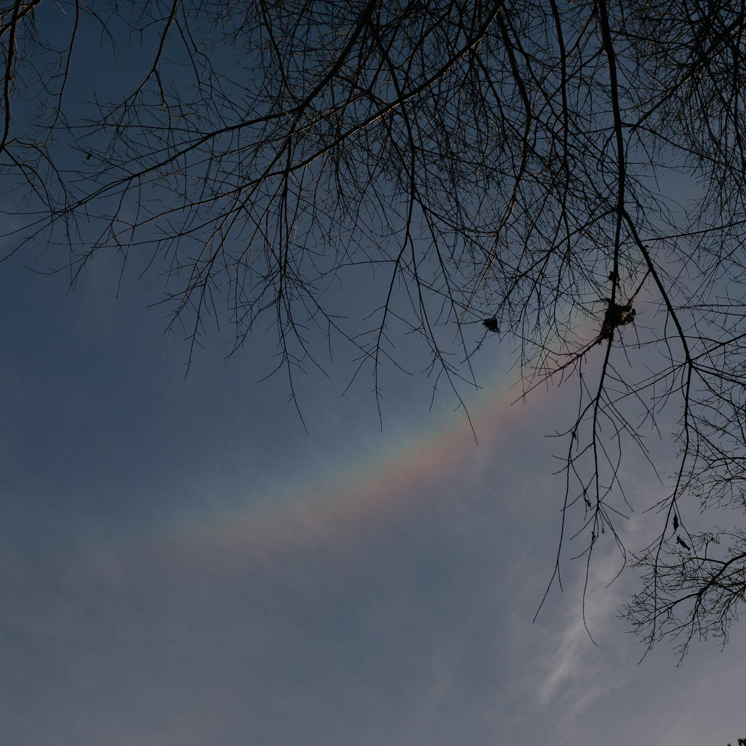 We saw three different rainbows during our engagement photo session- here's one of them