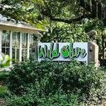 Wild Olive Restaurant