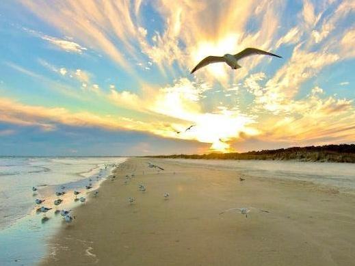 Honeymoon in Pawleys Island!