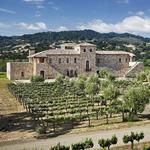 Santa Ynez Vineyards