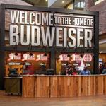 Budweiser Brewery Experience