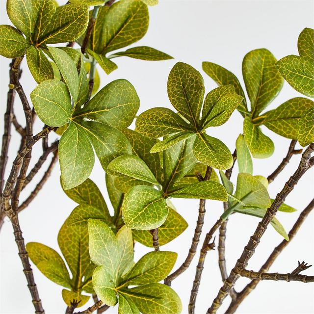 Clover Leaves Spray