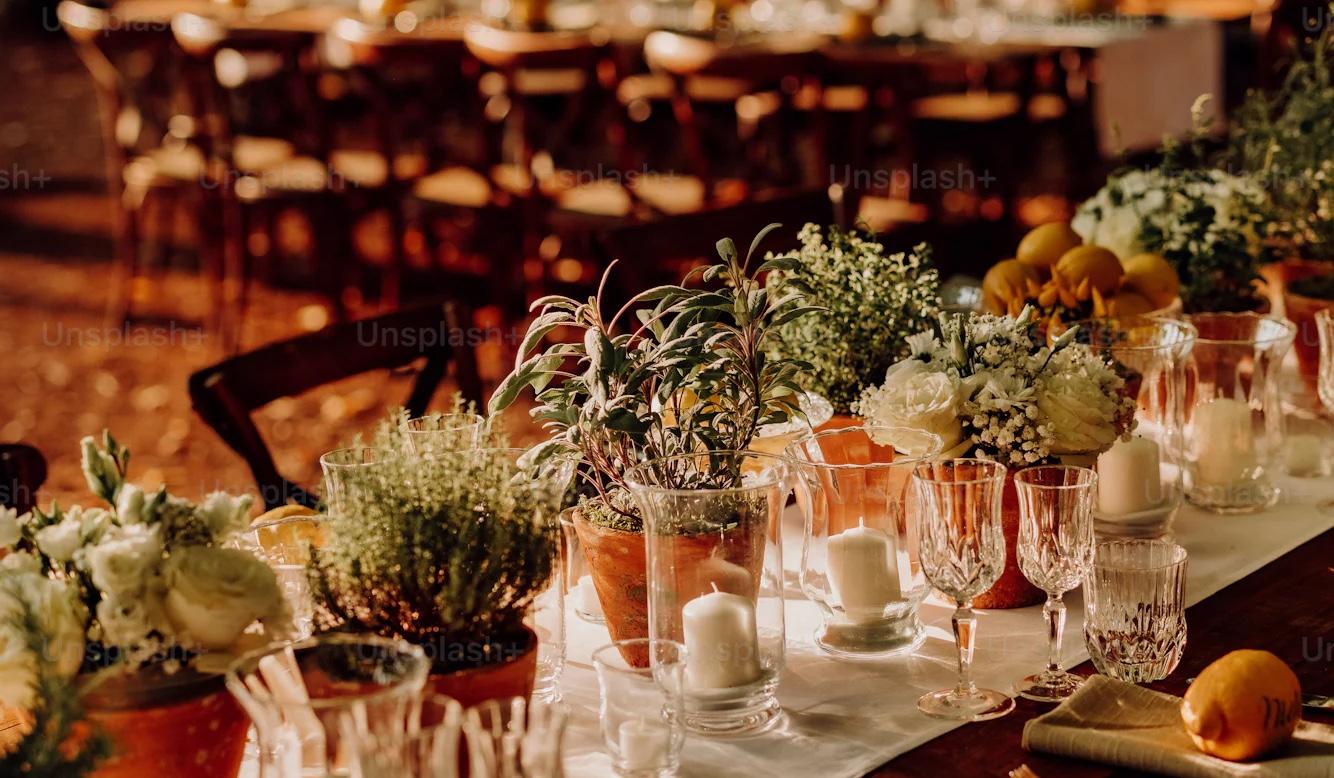 The Wedding Website of Devin Hoffman and Rachel Fleury