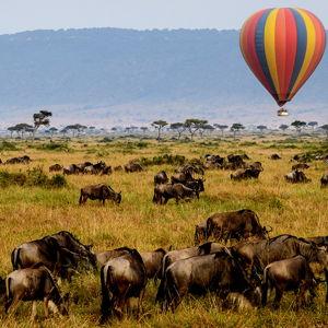 Sunrise Hot Air Balloon Over The Serengeti
