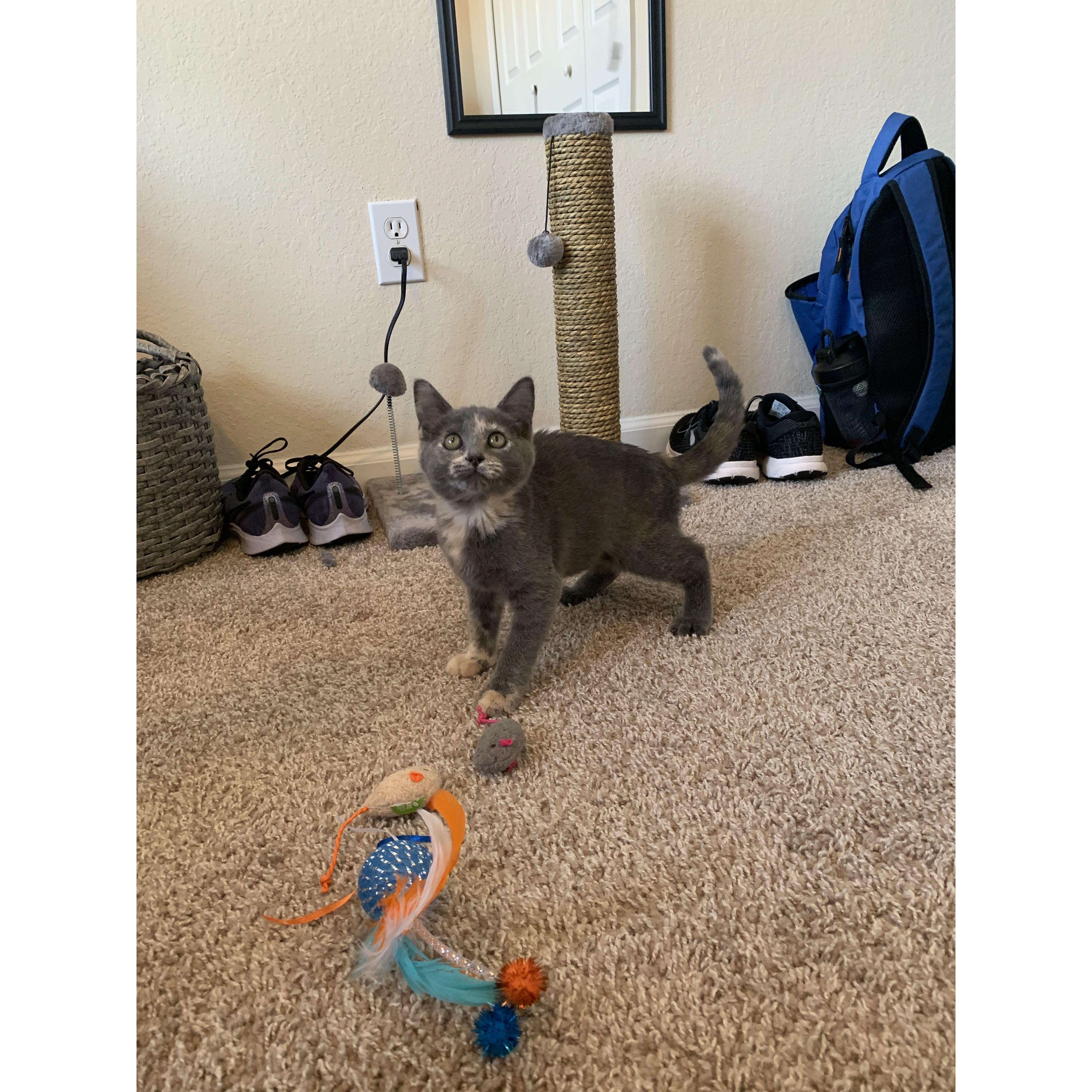Our first baby, Aurora