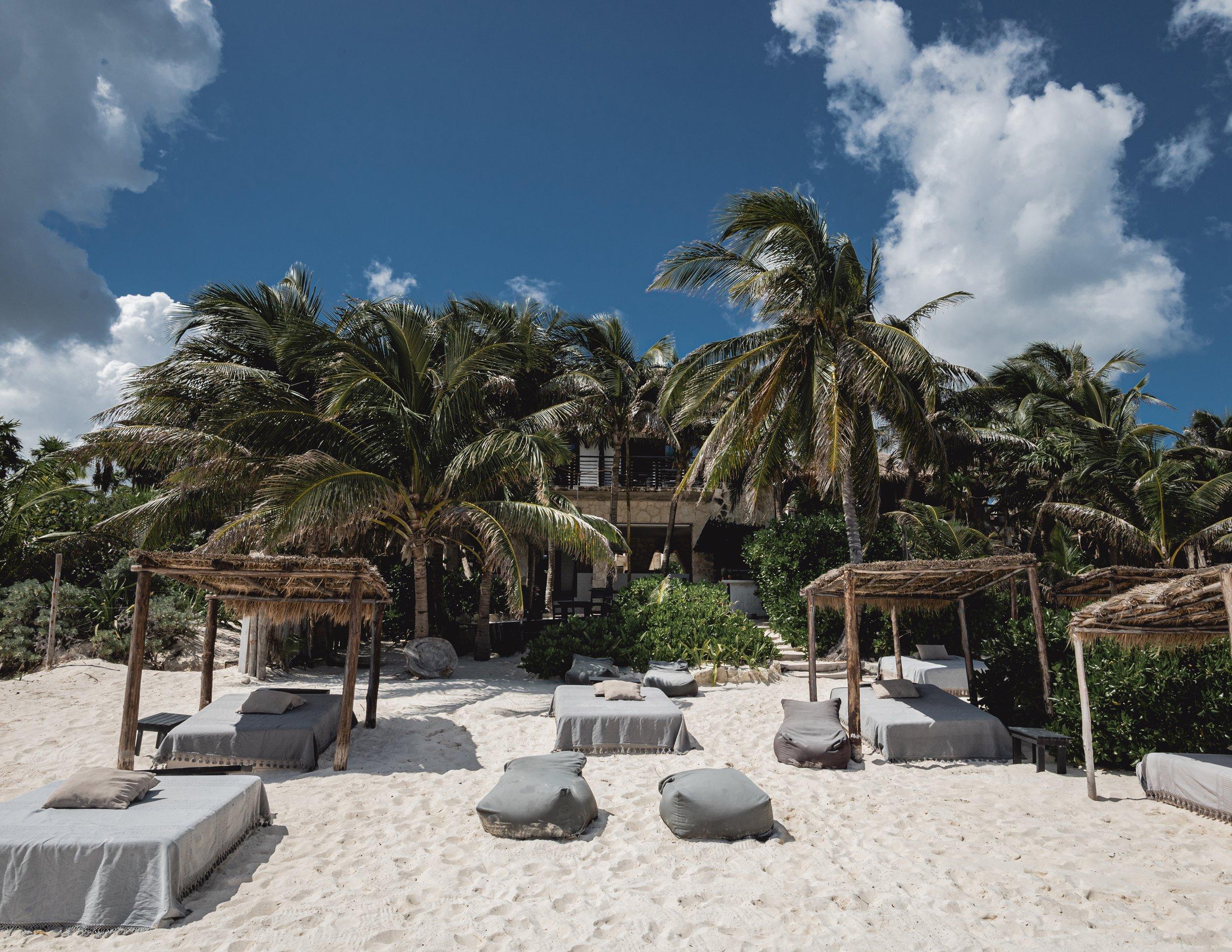 The Wedding Website of Ellen Capuano and Matthew Rome
