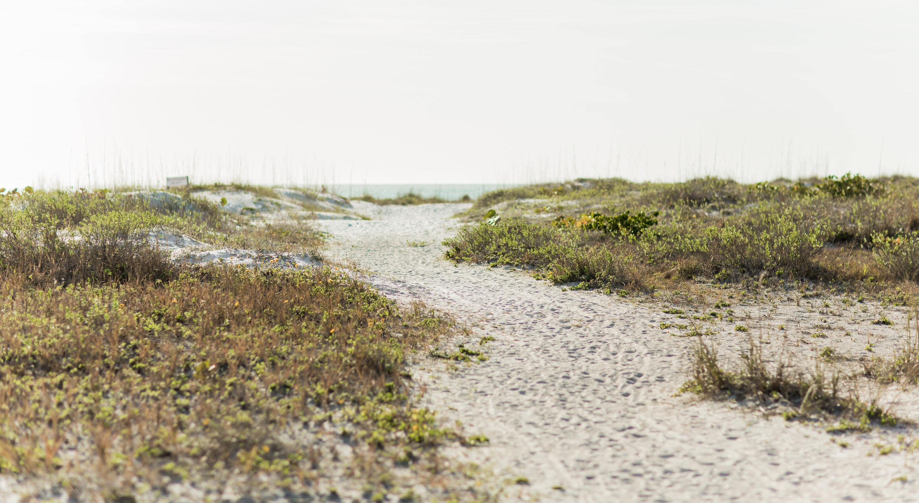 Footer image