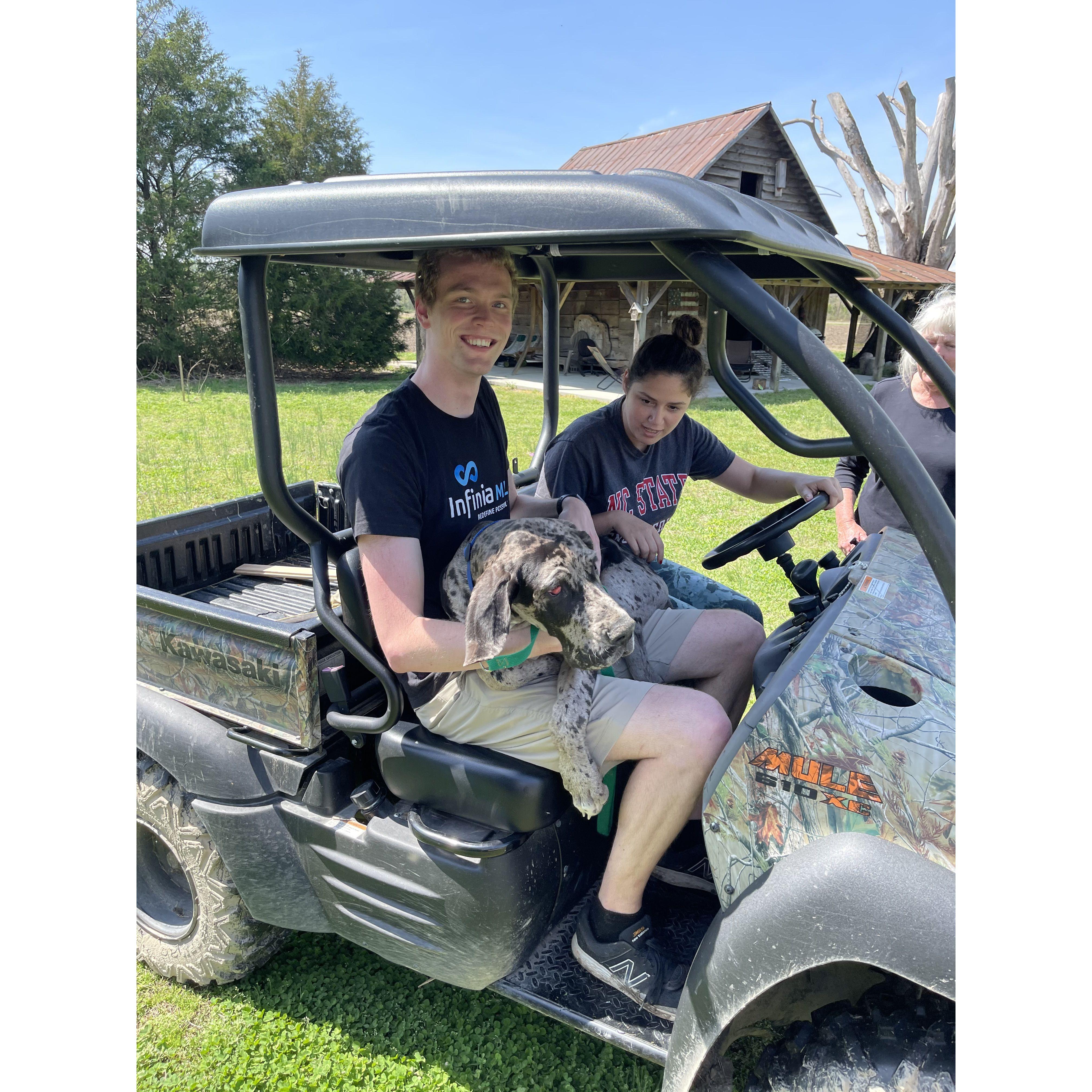 Moose's first time at the farm!