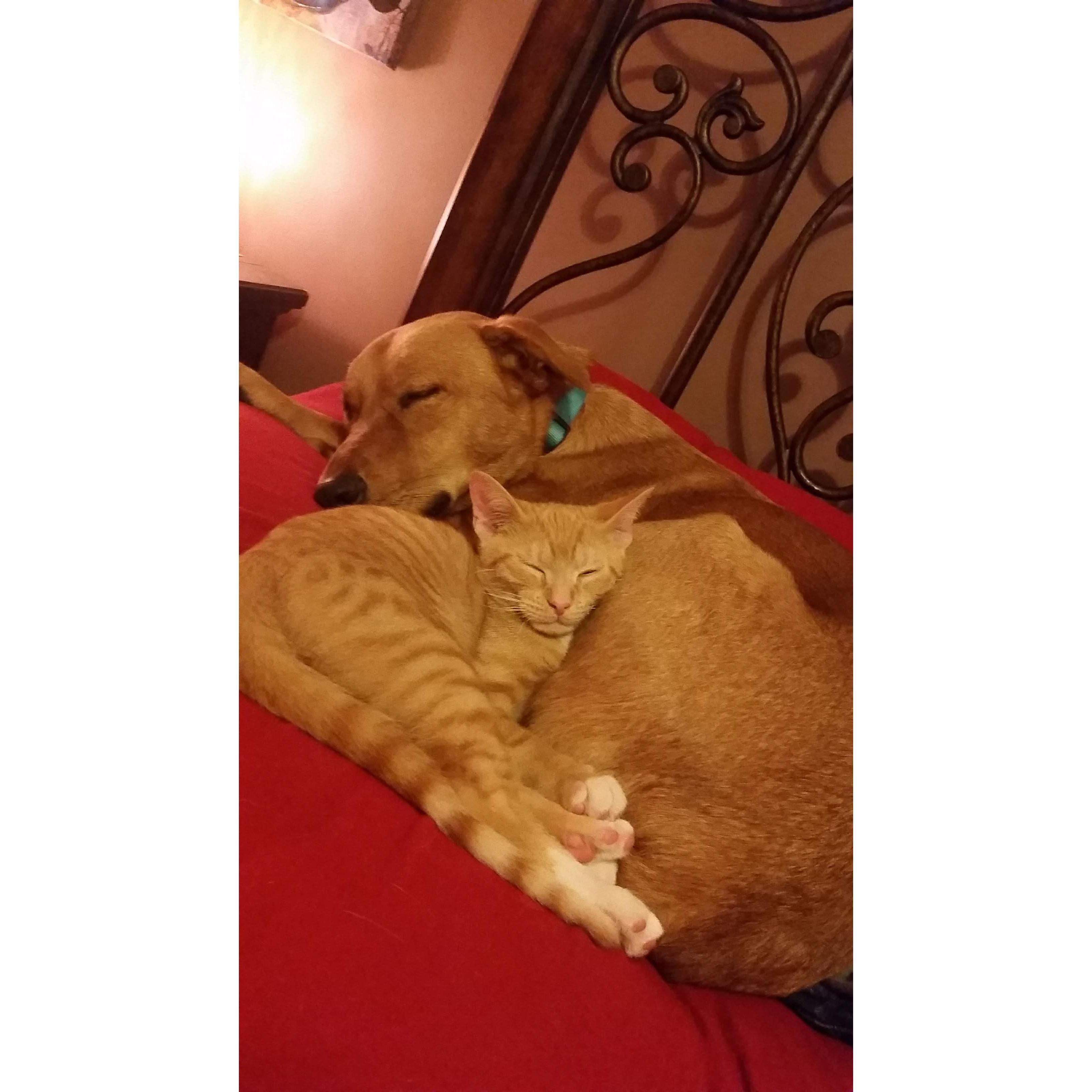 Our babies!