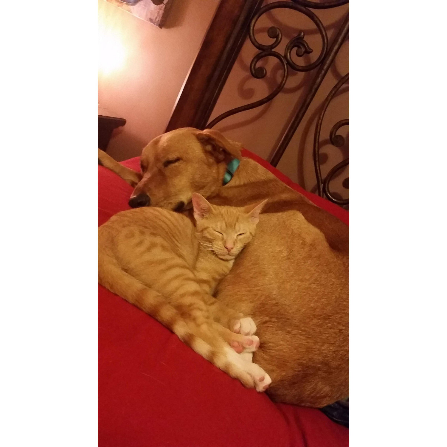 Our babies!