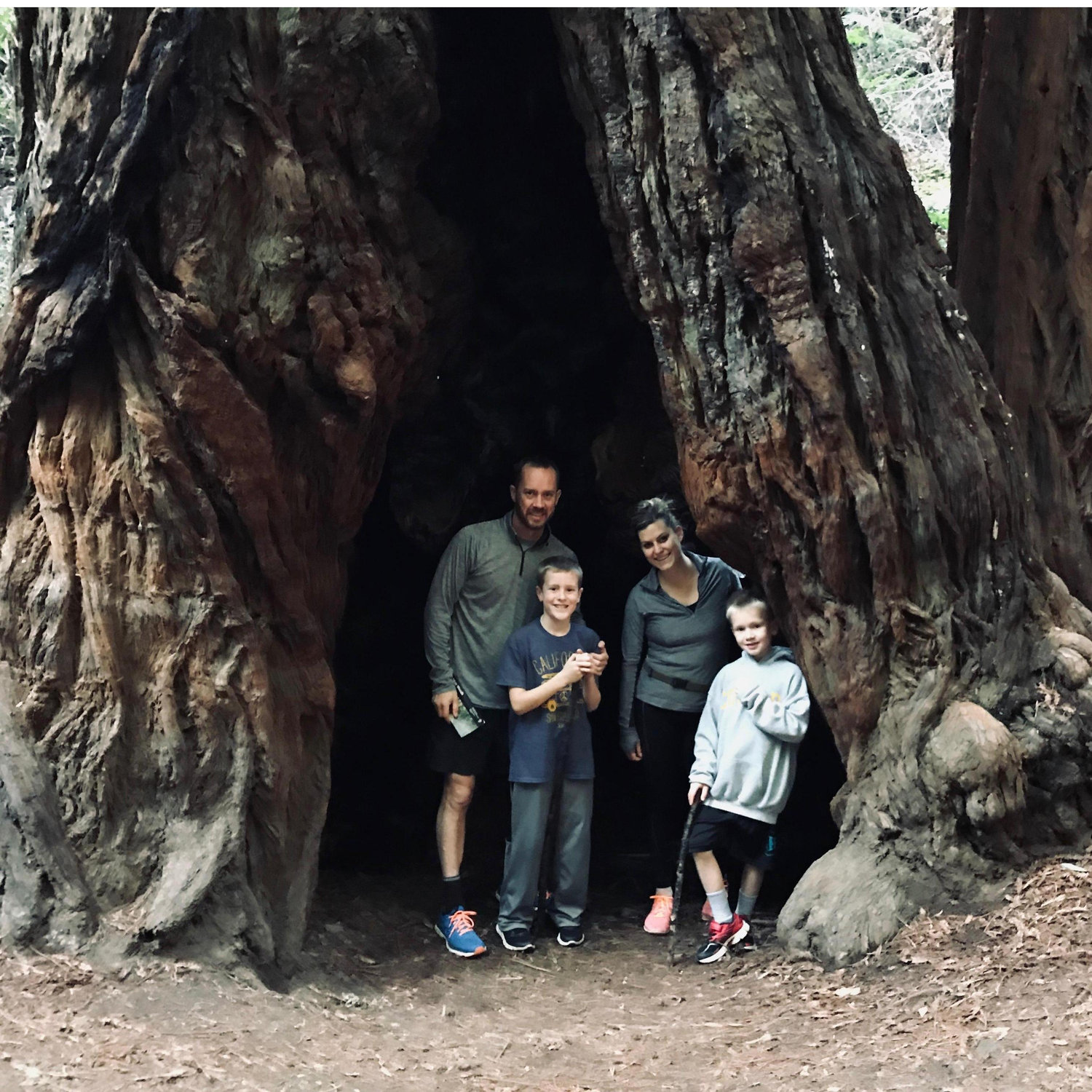 Educating the boys what Redwood Trees look like.