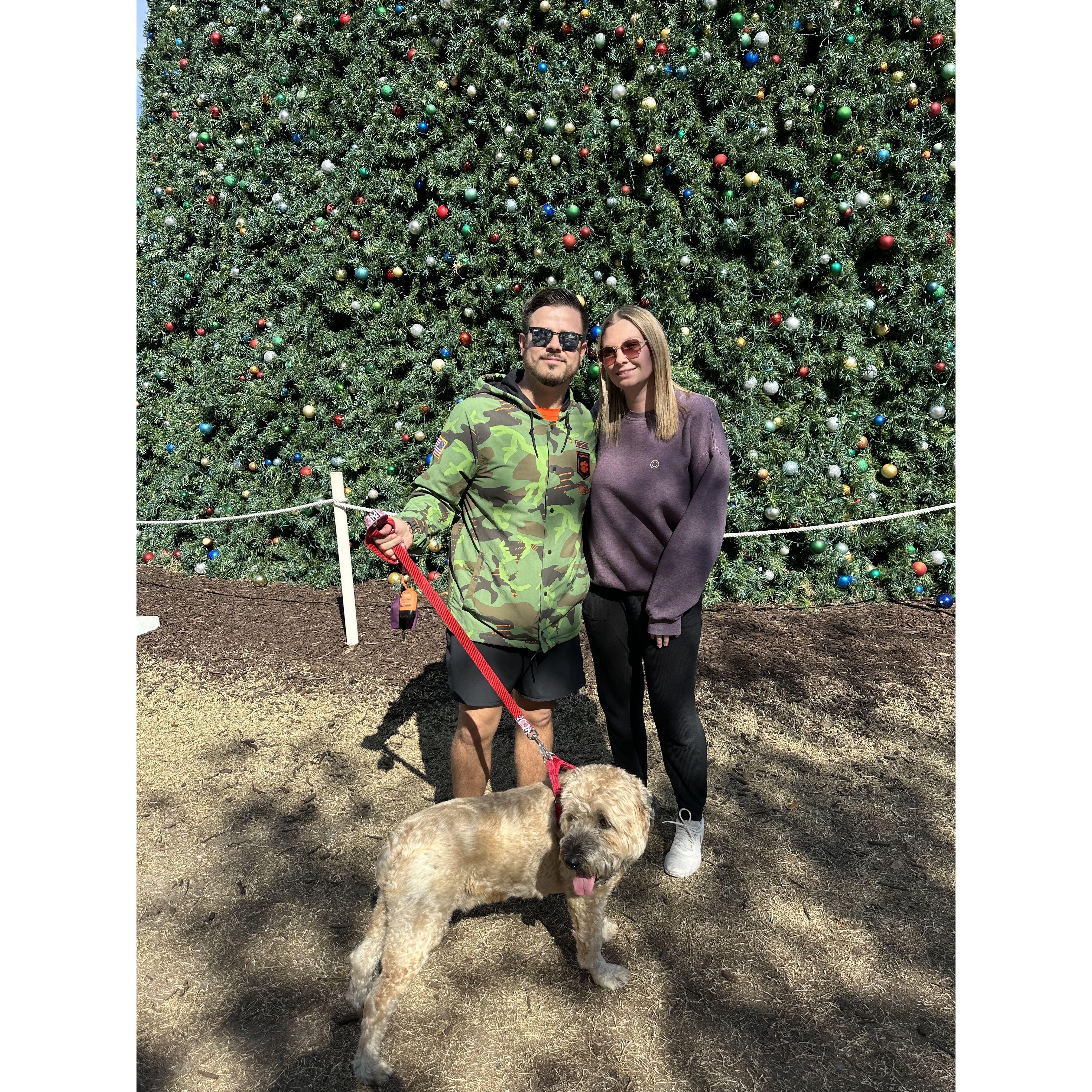 Henry in front of the biggest Christmas Tree in Florida.