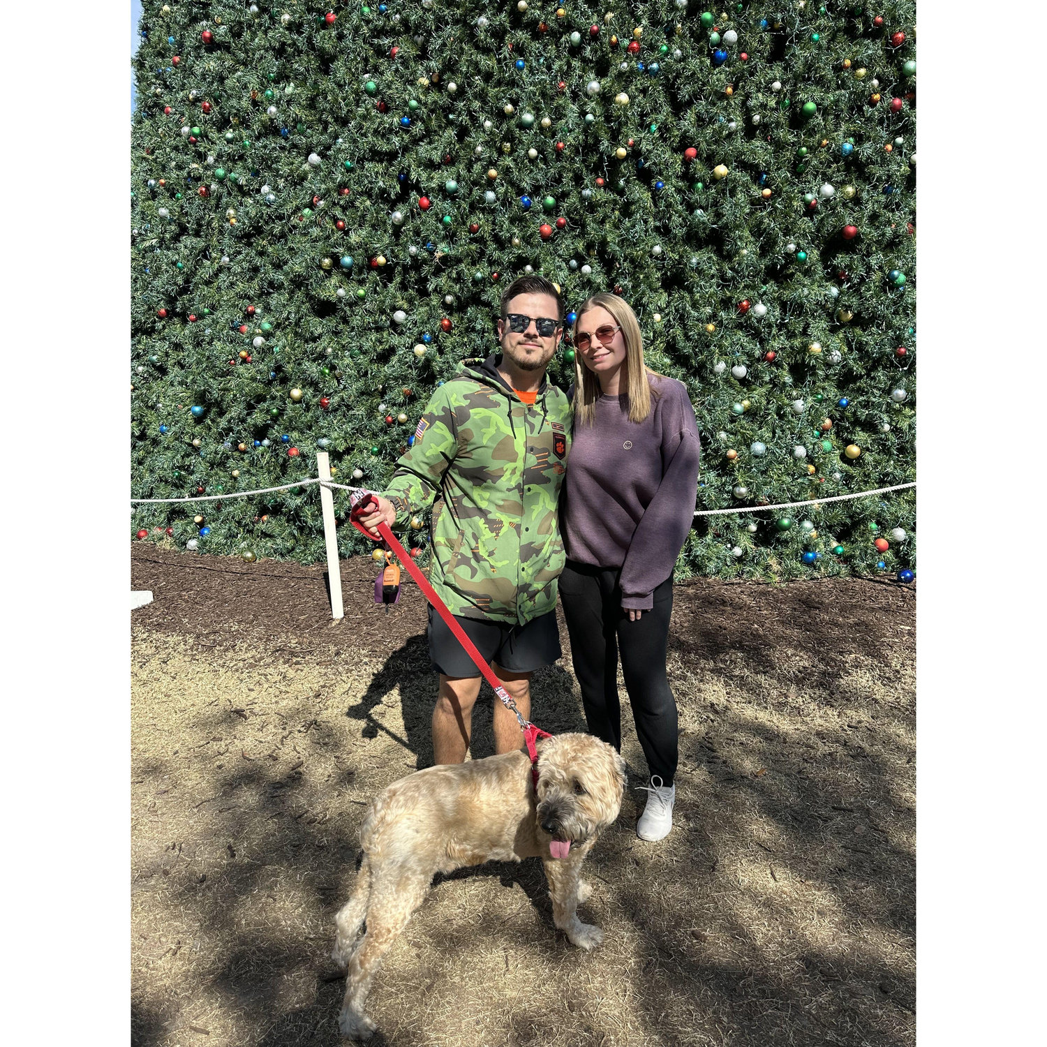 Henry in front of the biggest Christmas Tree in Florida.