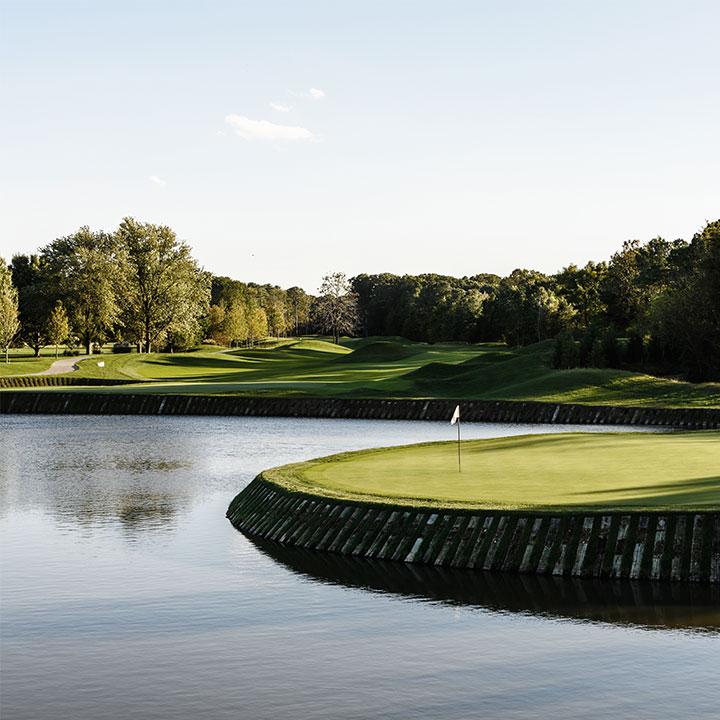 The Wedding Website of Sharon Astheimer and Andres Rojas