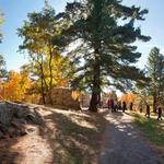 Mackenzie-King Estate