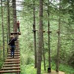Tree To Tree Adventure Park Idaho
