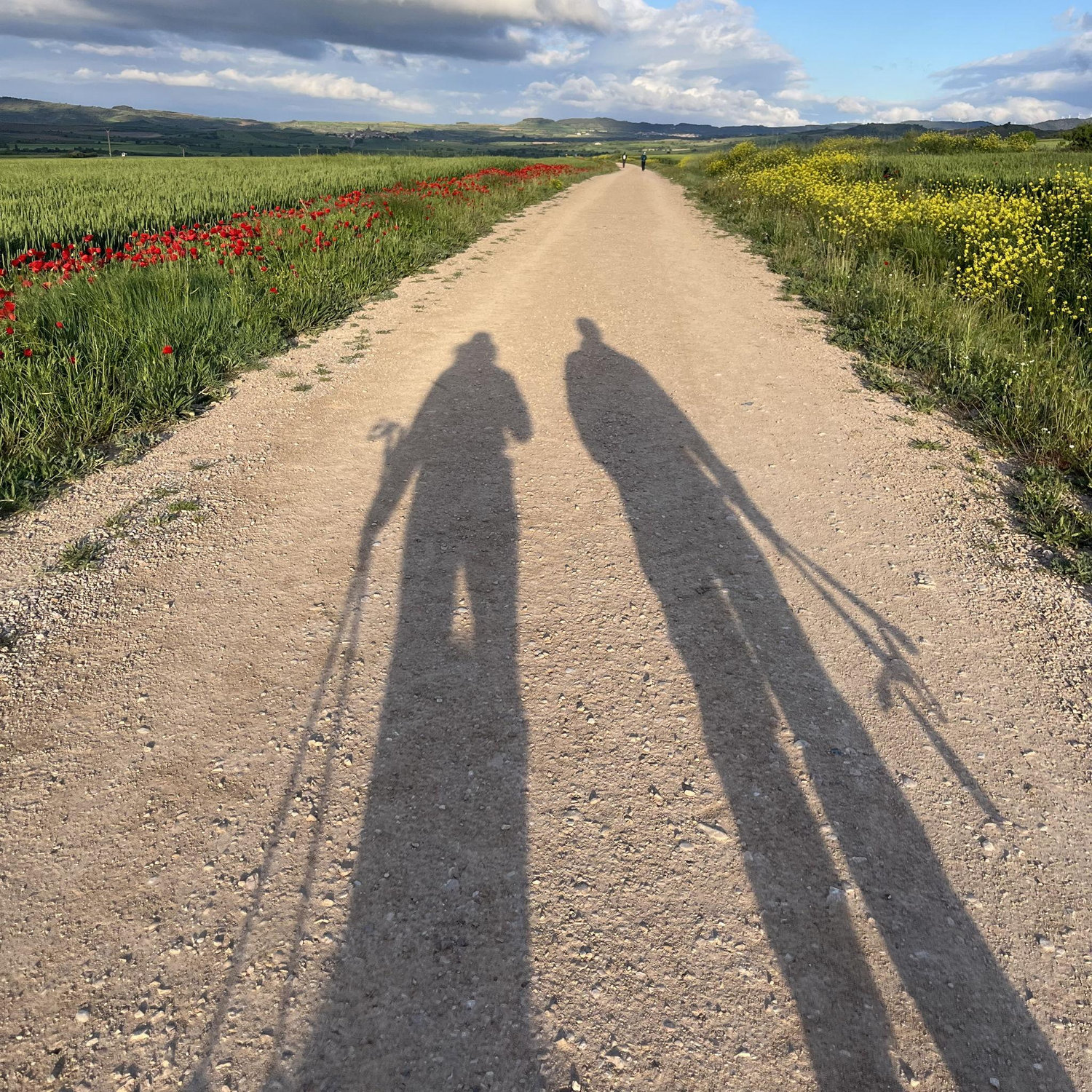 The Camino Trail was life changing for us. <3