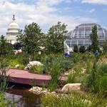 The National Botanical Gardens