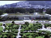 California Academy of Sciences