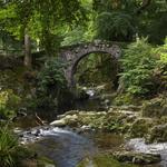 Tollymore Forest Park