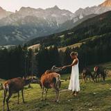 Summer Nature Adventures