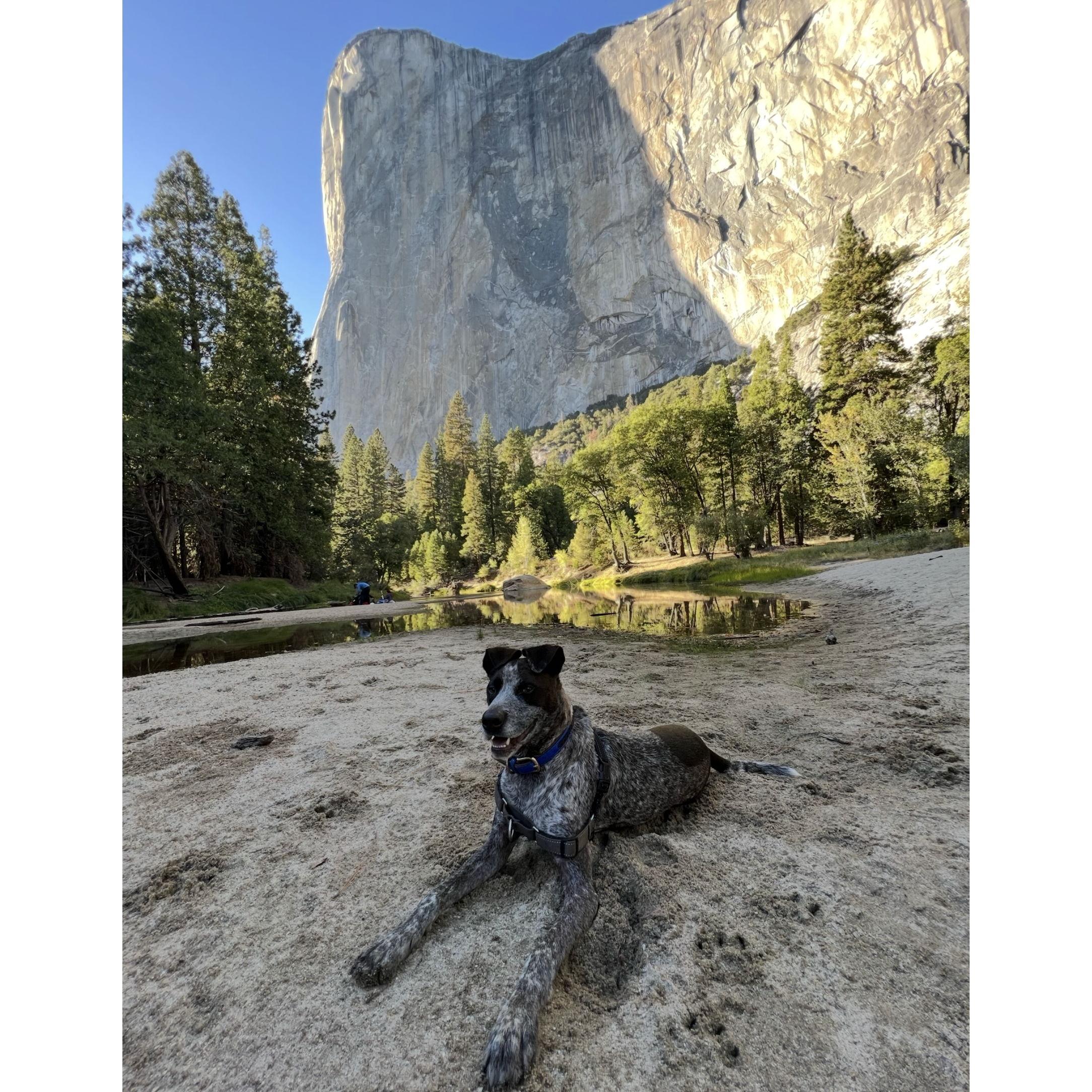 El Capitan and Yosemite Valley Loop Trail also a part of the hiking plans for Sunday as an option.